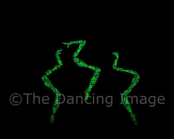 Botanica-0089