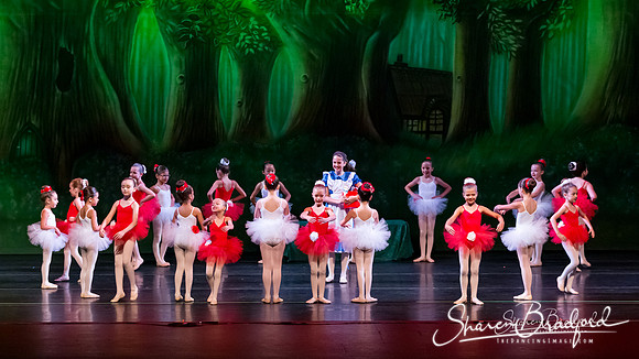 Painting the Roses-0128