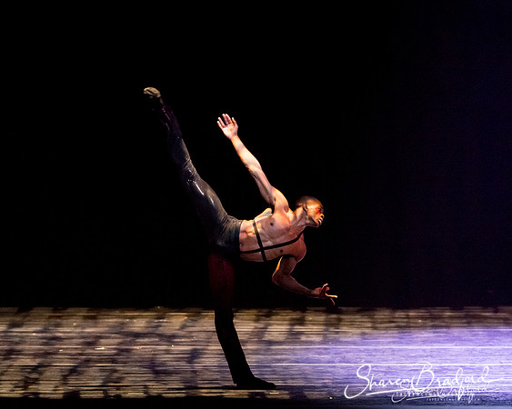 Stardust-pc Sharen Bradford-0992