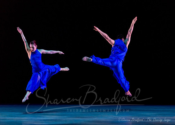 Following Echoes - pc Sharen Bradford-0862