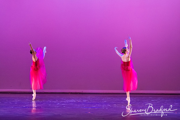 Waltz of the Flowers pc Sharen Bradford-2753