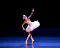Dying Swan pc Sharen Bradford-1188