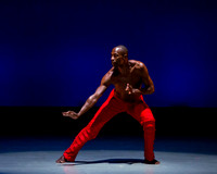 Alvin Ailey ADT-0016
