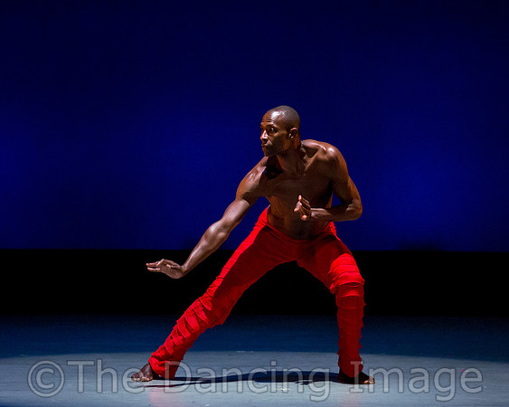 Alvin Ailey ADT-0016