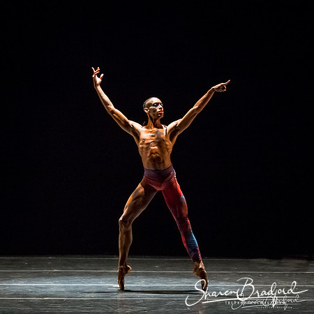 Stardust-pc Sharen Bradford-1237