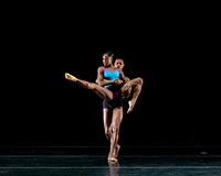 DBDT Execution of a Sentiment pc Sharen Bradford-0916