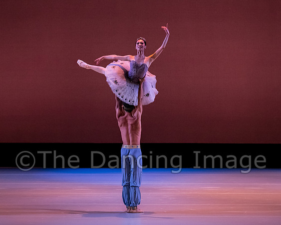 Le Corsaire-3008