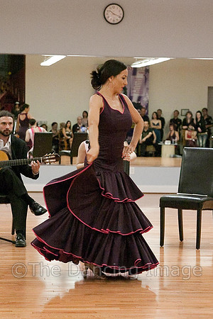 Flamenco-2-14