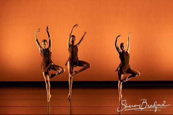 TBT Studio  pc Sharen Bradford-3944