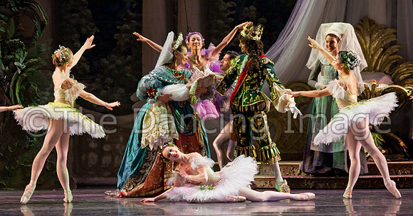 TB Sleeping Beauty Wed.-0162