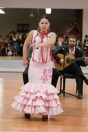 Flamenco-2-67