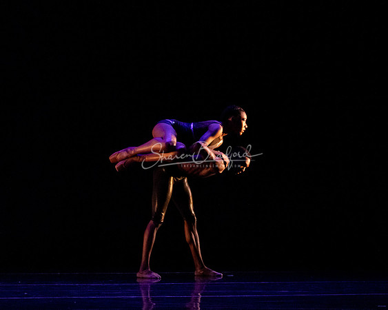 In Search of an Exit pc Sharen Bradford-1577