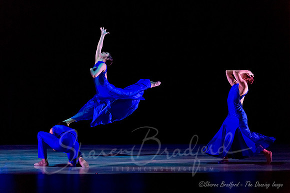 Following Echoes - pc Sharen Bradford-