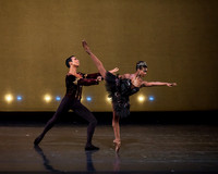 Swan Lake Pas de Deux-0400