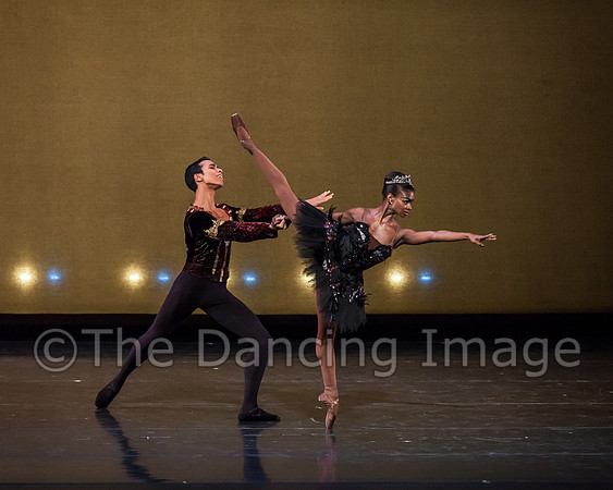 Swan Lake Pas de Deux-0400