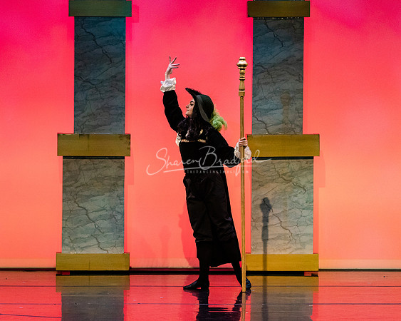 Ballet NTX Sleeping Beauty pc Sharen Bradford-1649