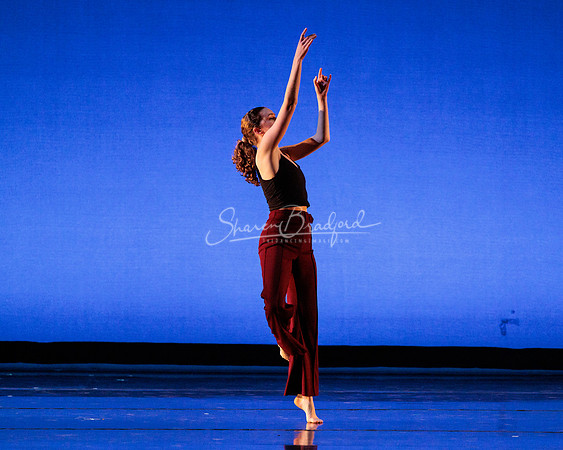 Dance is a Weapon pc Sharen Bradford-1208