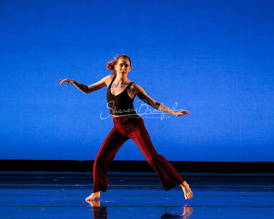 Dance is a Weapon pc Sharen Bradford-1206