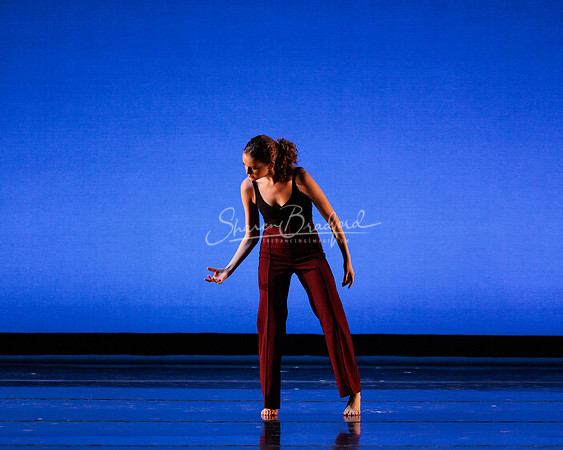 Dance is a Weapon pc Sharen Bradford-1211