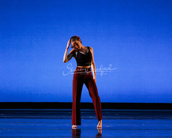 Dance is a Weapon pc Sharen Bradford-1210