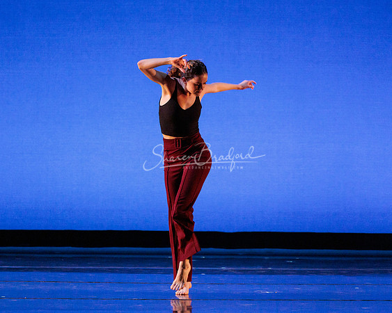 Dance is a Weapon pc Sharen Bradford-1213