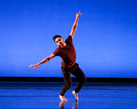 Dance is a Weapon pc Sharen Bradford-1217