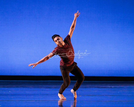 Dance is a Weapon pc Sharen Bradford-1217