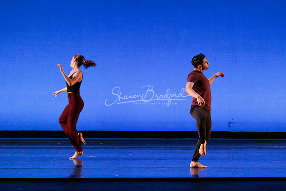 Dance is a Weapon pc Sharen Bradford-1224