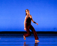Dance is a Weapon pc Sharen Bradford-1225