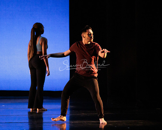 Dance is a Weapon pc Sharen Bradford-1229