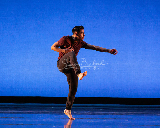 Dance is a Weapon pc Sharen Bradford-1232