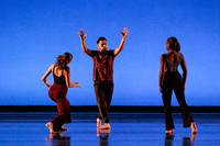 Dance is a Weapon pc Sharen Bradford-1236