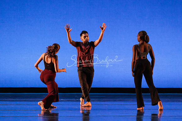 Dance is a Weapon pc Sharen Bradford-1236