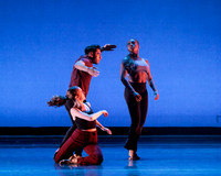 Dance is a Weapon pc Sharen Bradford-1239