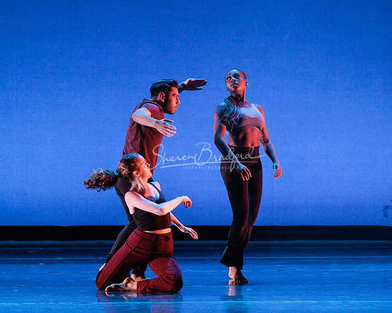 Dance is a Weapon pc Sharen Bradford-1239