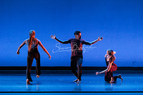 Dance is a Weapon pc Sharen Bradford-1241