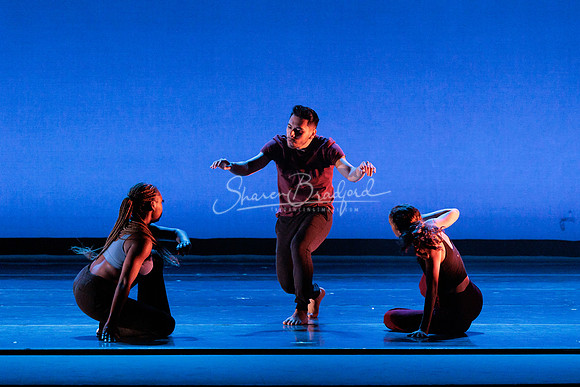 Dance is a Weapon pc Sharen Bradford-1244