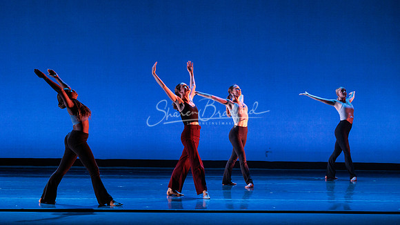 Dance is a Weapon pc Sharen Bradford-1250