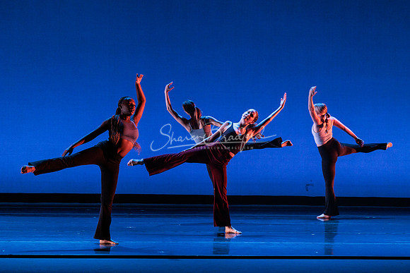Dance is a Weapon pc Sharen Bradford-1258