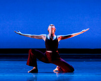 Dance is a Weapon pc Sharen Bradford-1265