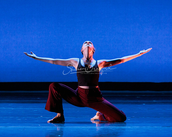 Dance is a Weapon pc Sharen Bradford-1265
