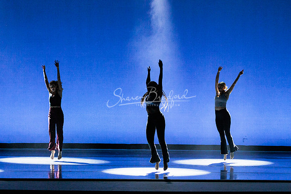 Dance is a Weapon pc Sharen Bradford-1267