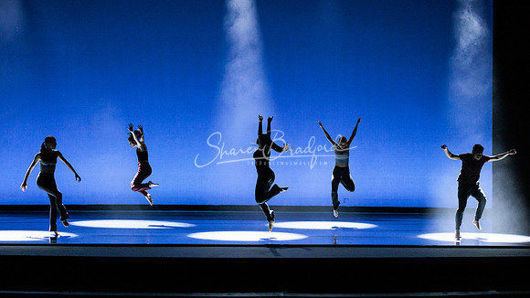 Dance is a Weapon pc Sharen Bradford-1273