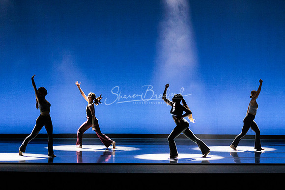 Dance is a Weapon pc Sharen Bradford-1275