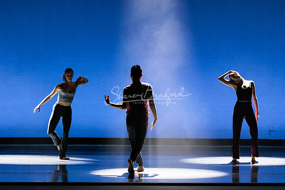 Dance is a Weapon pc Sharen Bradford-1279