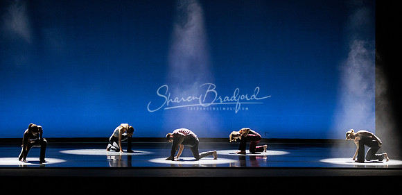 Dance is a Weapon pc Sharen Bradford-1280