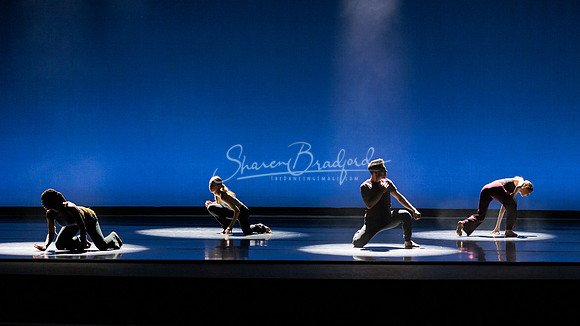 Dance is a Weapon pc Sharen Bradford-1284