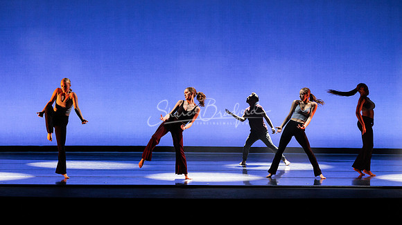 Dance is a Weapon pc Sharen Bradford-1296