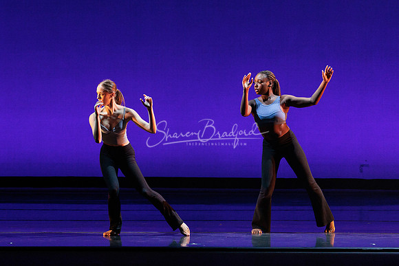 Dance is a Weapon pc Sharen Bradford-1302