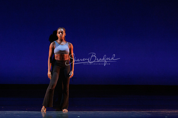 Dance is a Weapon pc Sharen Bradford-1303